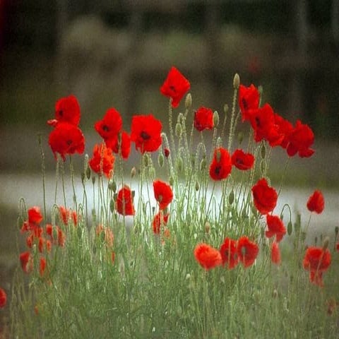 Begin With ME! Intro Presentation