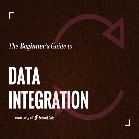 Data Integration: the Beginner's Guide