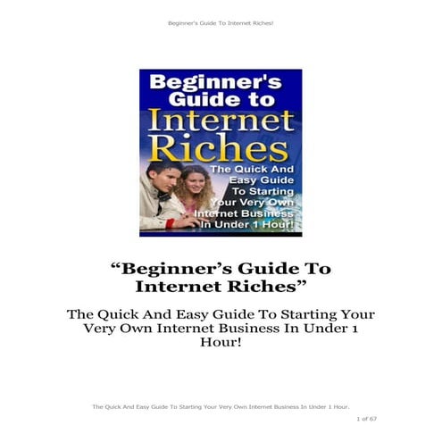 Beginners guide to internet riches