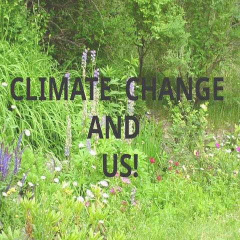 BEGONIA ELEM SCHOOL CLIMATE CHANGE SYMPOSIUM.pptx