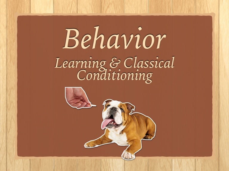 Behavior, Learning, Classical Conditioning