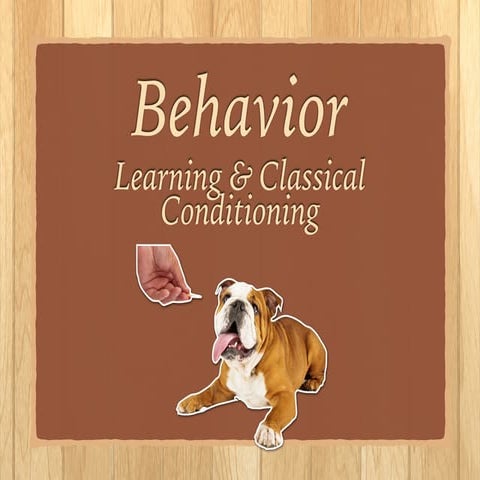 Behavior, Learning, Classical Conditioning