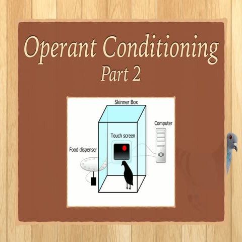 Operant Conditioning 2