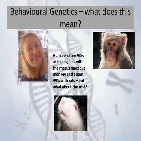 IB Diploma BLOA - Behavioural Genetics