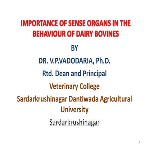 importance of sense organs in the behaviour of dairy bovines 