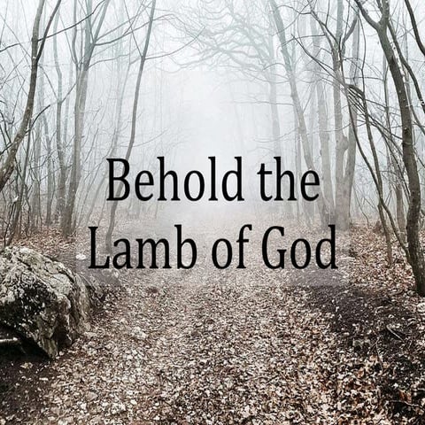 Behold the Lamb of God.pptx