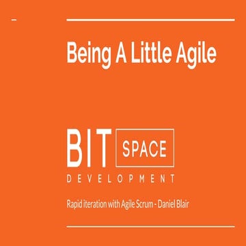 Being a Little Agile