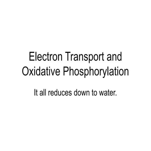 Electron_Transport_Chain with flow diagram.ppt.pptx