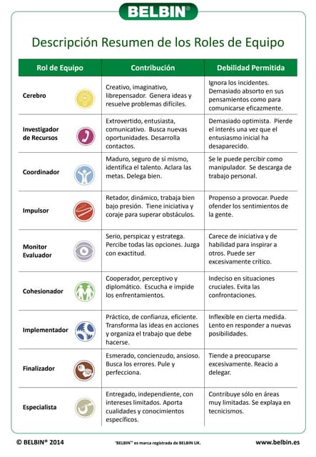 Metodología Belbin De Roles De Equipo