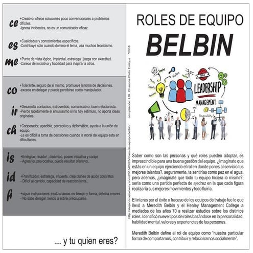 Belbin | PDF