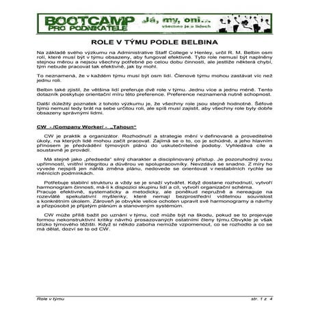 Belbinův popis rolí