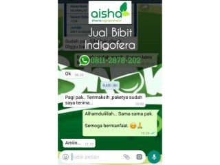 ✔️ Beli 0811 2878-202, hijauan pakan ternak, indigofera pakan ternak, pakan hijauan untuk kelinci