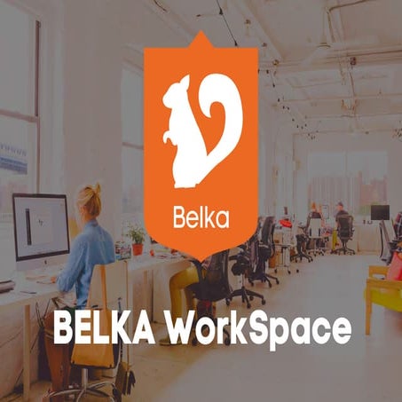 Belka WorkSpace