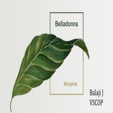 Pharmacognosy of Atropa belladona | PPTX