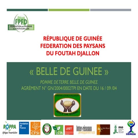 " Belle de guinee " : pomme de terre de la guinée