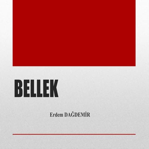Bellek