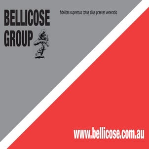 Bellicose Group Digital Profile