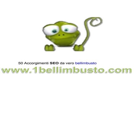 Bellimbusto 50 accorgimenti seo