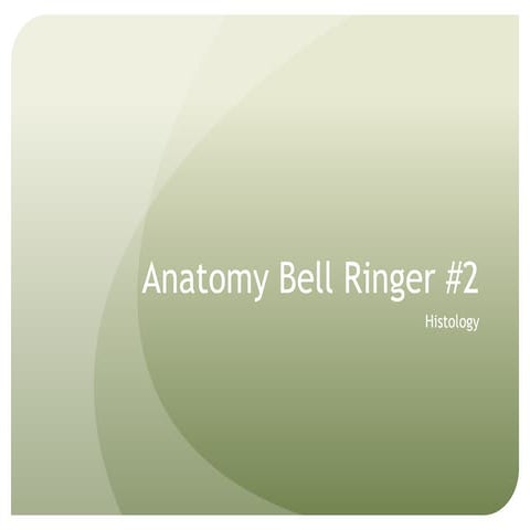 Bell ringer 2