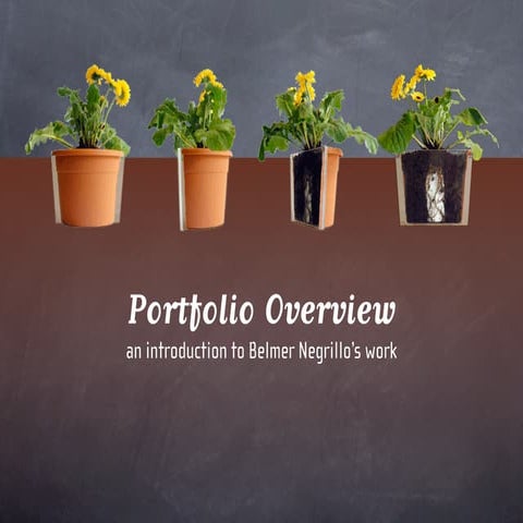 Belmer portfolio overview