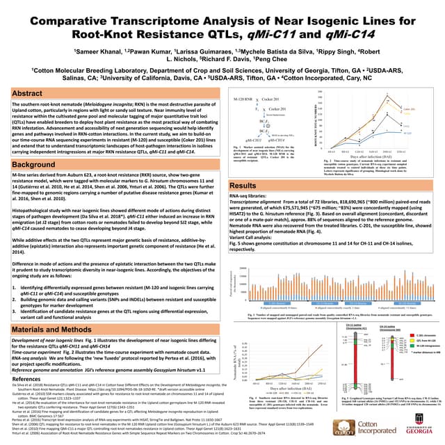 Beltwide poster main