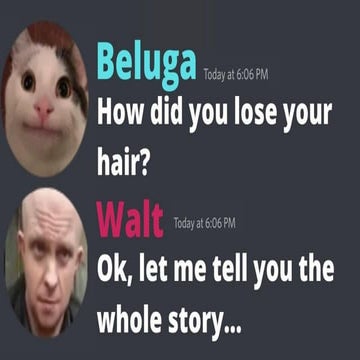 BELUGA slideshow funny and cool make you laugh