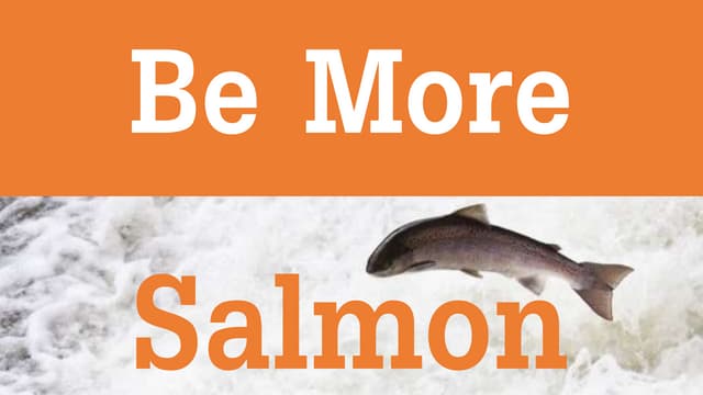 Be More Salmon - Testbash