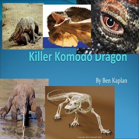 Ben Animal | PPT