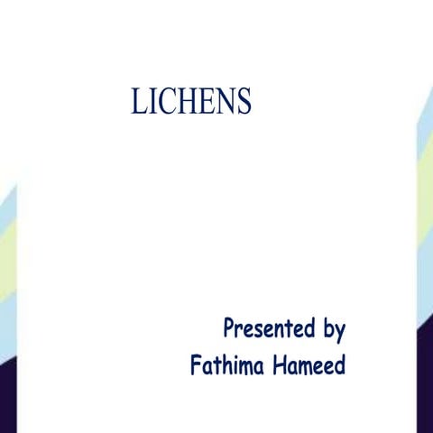 lichen 