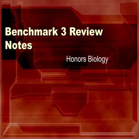 Benchmark%203%20 review%20notes[1]