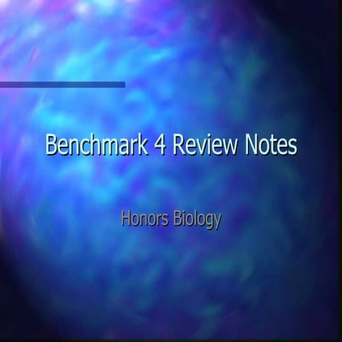 Benchmark 4 review