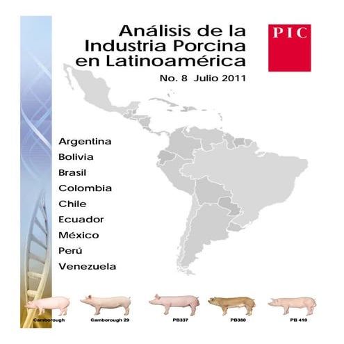 Benchmark latam jul 11(2)
