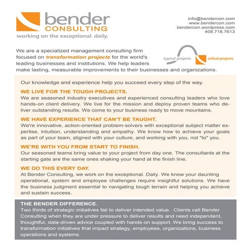 Bender Consulting Brochure
