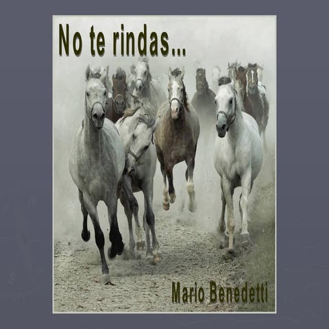 Decálogo Último (y equina belleza)