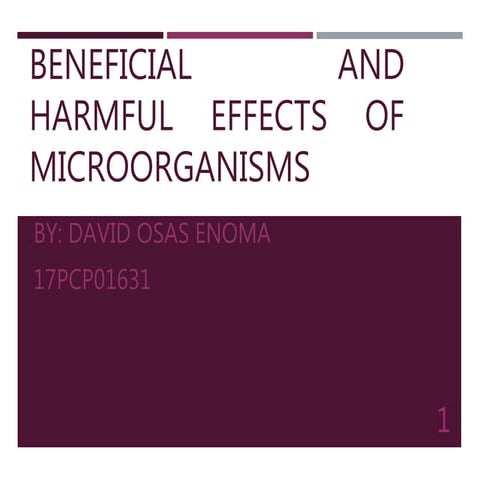Beneficial and harmful effects of microorganisms