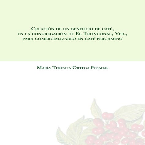 Beneficio humedo de cafe en el tronconal ver.