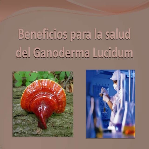 Beneficios para la salud del Ganoderma Lucidum 