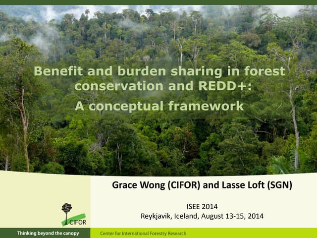 Benefit and burden sharing in forest conservation and REDD+: A conceptual framework