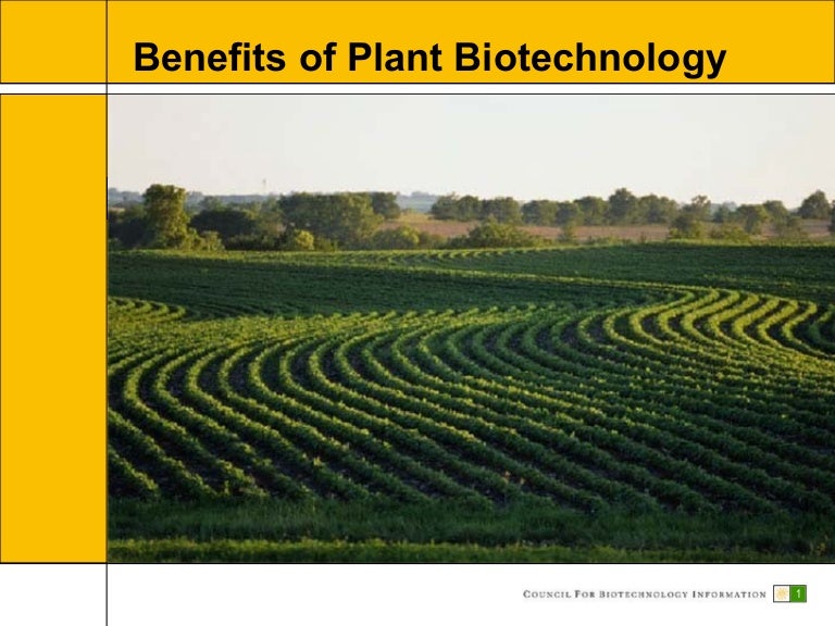 Benefits of Plant Biotechnology