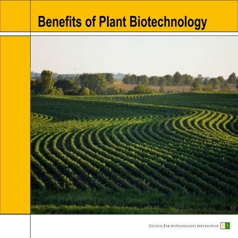 Benefits of Plant Biotechnology