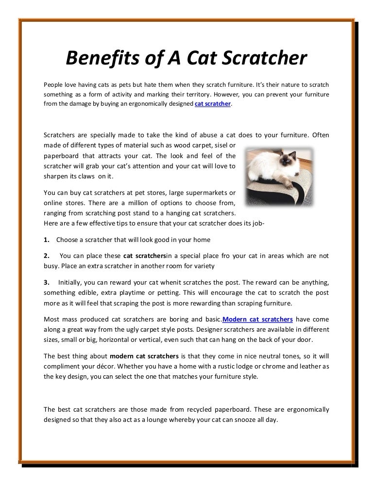 buy scratching post