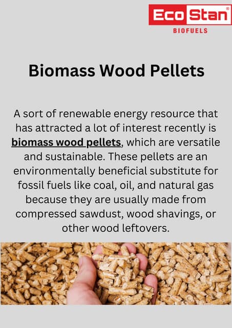 Biomass Wood Pellets: Sustainable Energy for a Greener Future | PDF