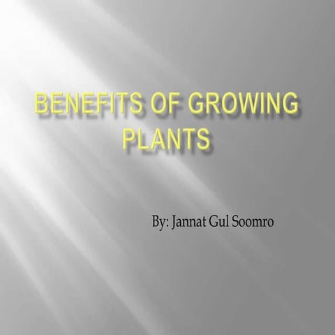 Benefits of growing plants