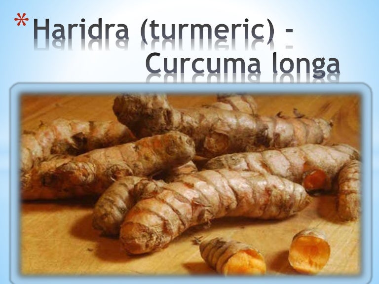 Benefits of haridra turmeric ayurvedic perspective