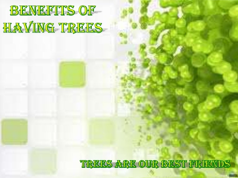 Benefits Of Having Trees