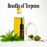Benefits of Terpenes