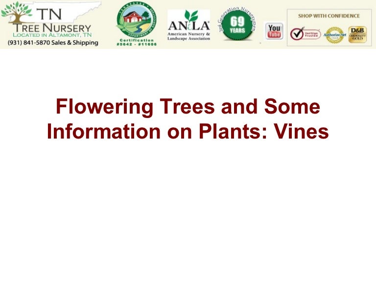 Benefits of trees, vines, plants