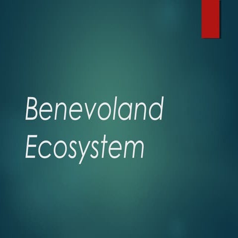 Beneovland ecosystempresentation 2