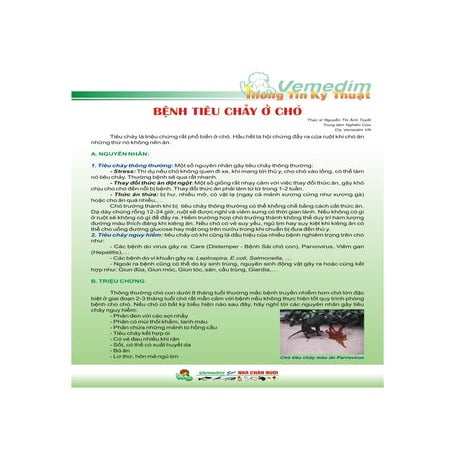 Benh tieu chay_o_cho