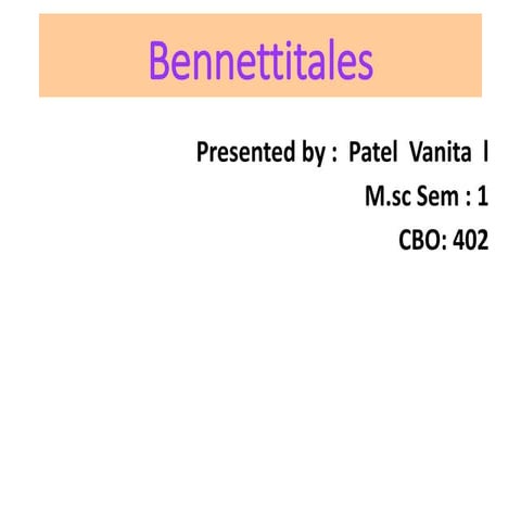 Bennettitales 
